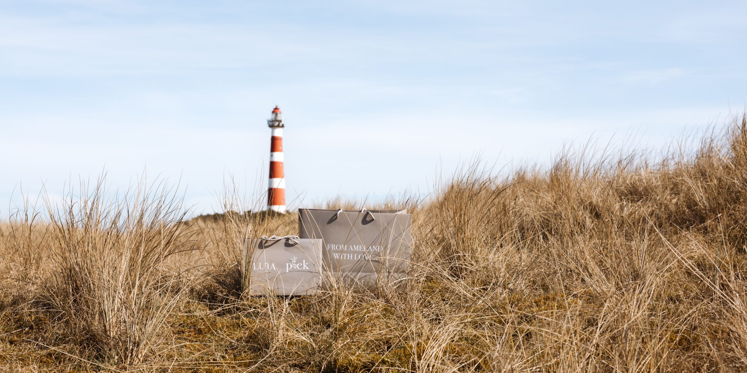 Duinen met de vuurtoren van Ameland, met tassen van Plek & Luna